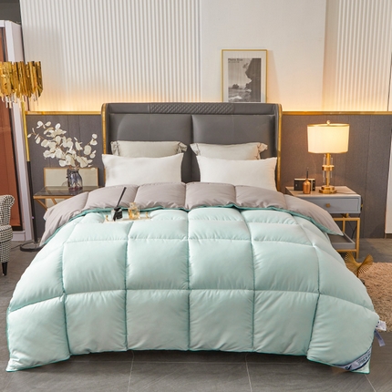 Отель Winter Comforter Premium Весь сезон